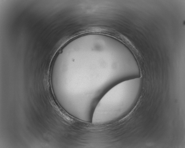 X0000083621178200702120742