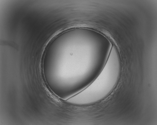 X0000083621181200702120741