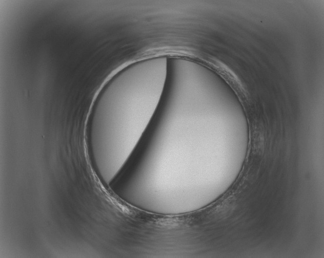X0000083621182200702120741