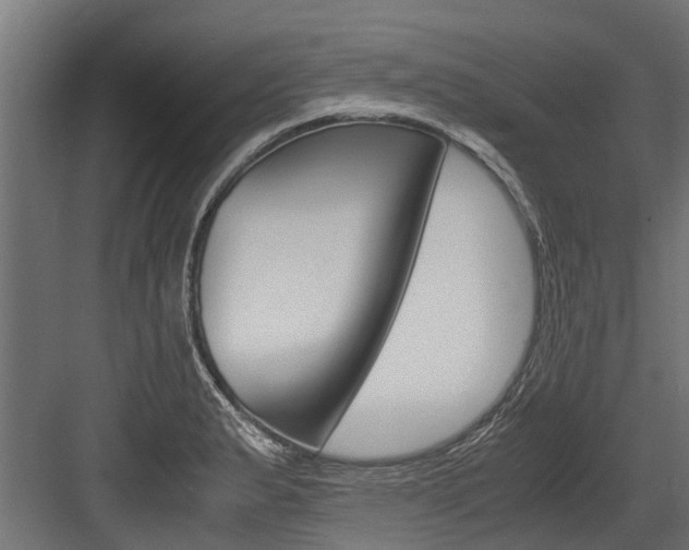 X0000083621183200702120741