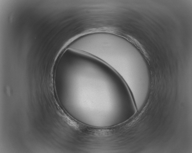 X0000083621184200702120741