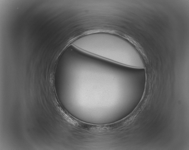 X0000083621185200702120741