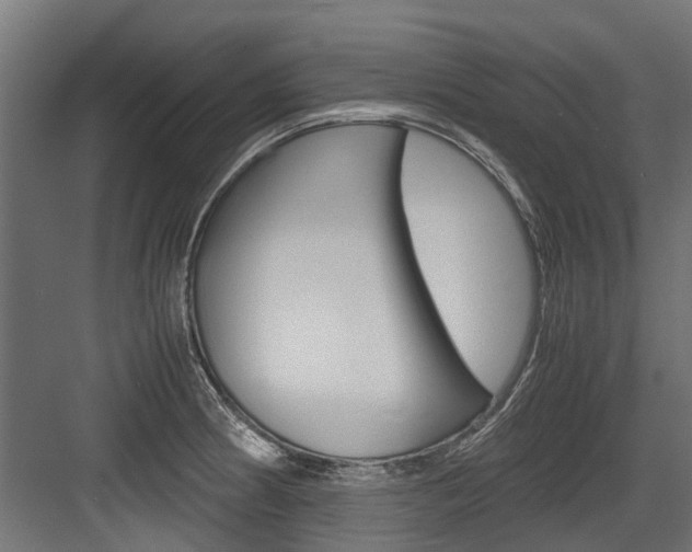 X0000083621186200702120741