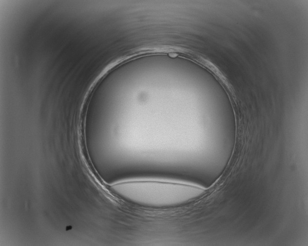 X0000083621187200702120741