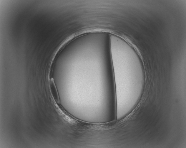 X0000083621189200702120741