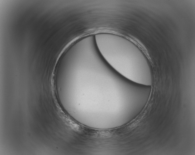 X0000083621190200702120741