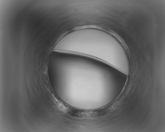 X0000083621193200702120741