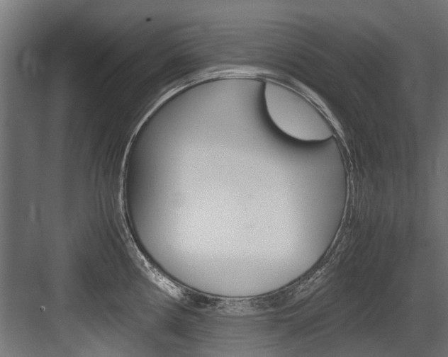 X0000083621194200702120741
