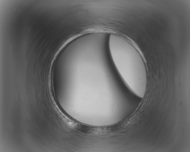 X0000083621195200702120741
