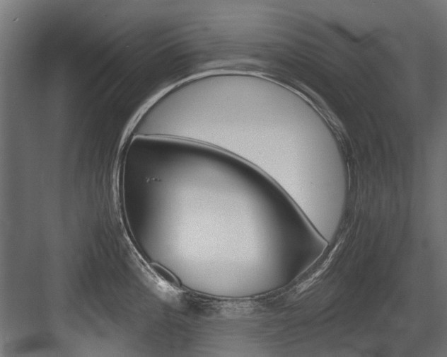 X0000083621196200702120741