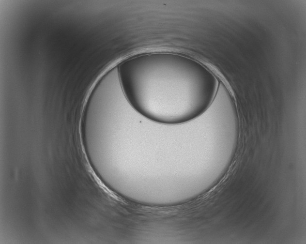 X0000083621197200702120741