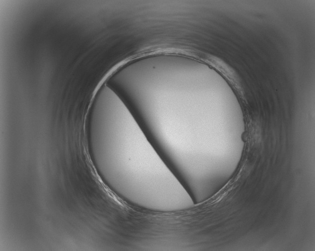 X0000083621198200702120741