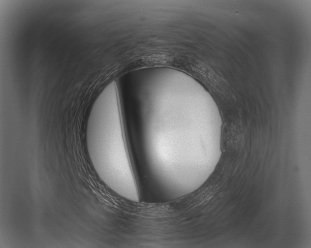 X0000083621201200702120740