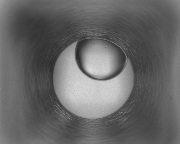 X0000083621202200702120740