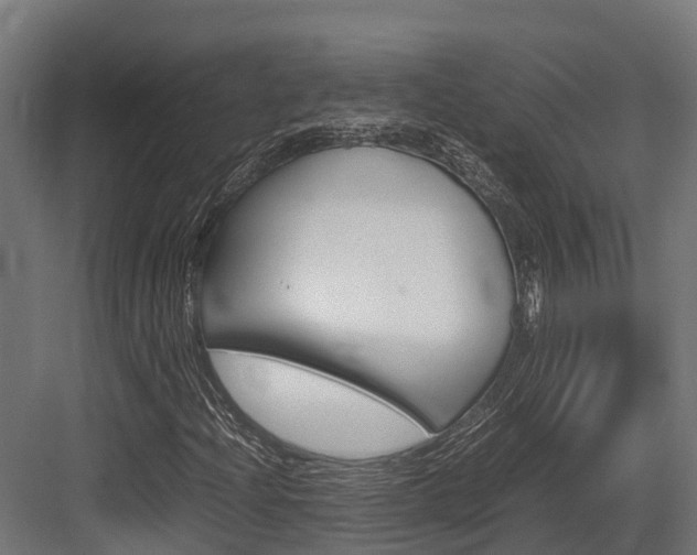X0000083621204200702120740