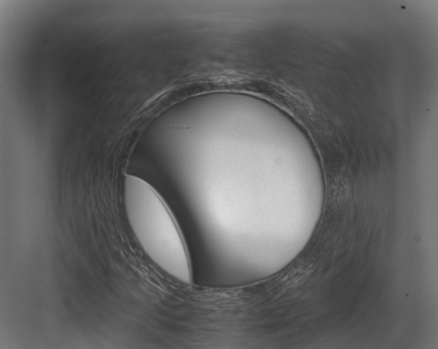 X0000083621205200702120740