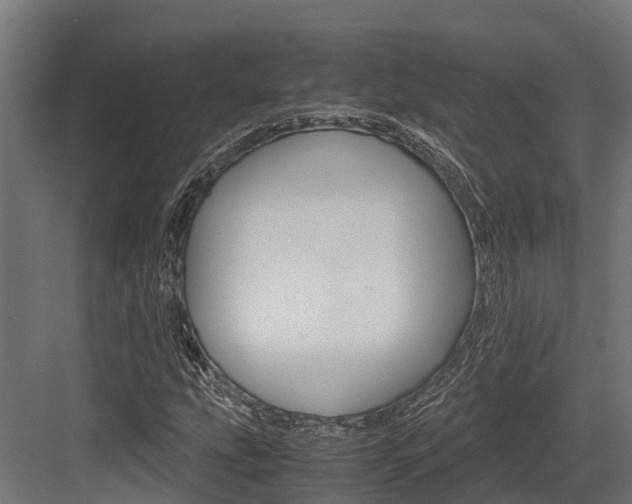 X0000083621207200702120740
