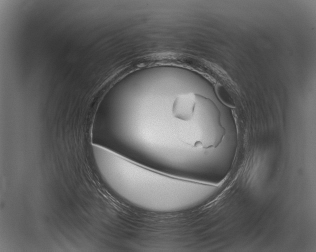 X0000083621209200702120741