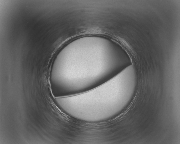 X0000083621212200702120741