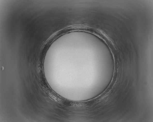 X0000083621213200702120741