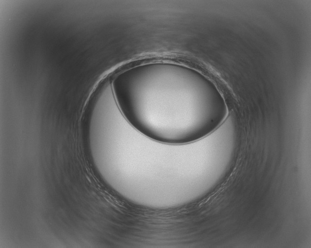 X0000083621214200702120741