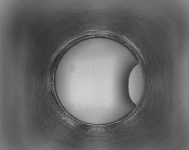 X0000083621215200702120741
