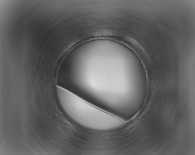 X0000083621217200702120741