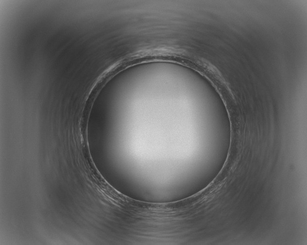 X0000083621218200702120741