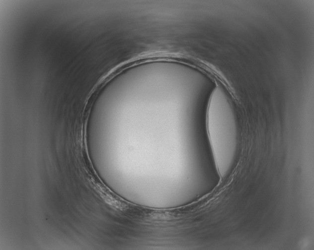 X0000083621220200702120741