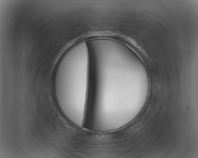 X0000083621221200702120741