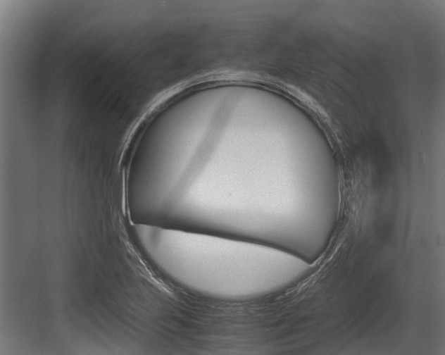 X0000083621223200702120741