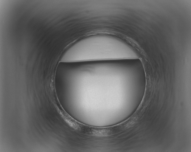 X0000083621225200702120741