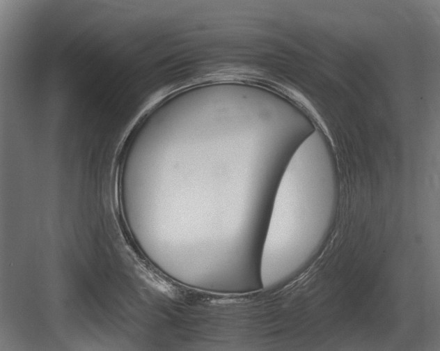 X0000083621227200702120741