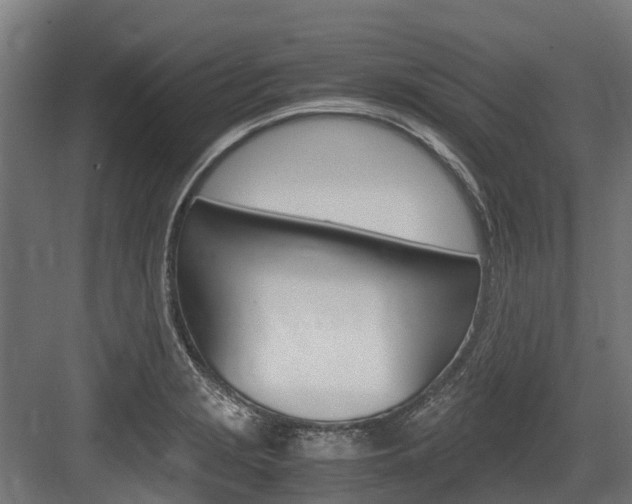 X0000083621229200702120741