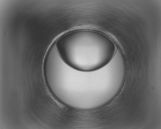 X0000083621230200702120741