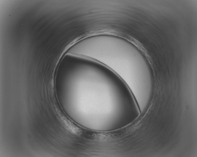 X0000083621234200702120741