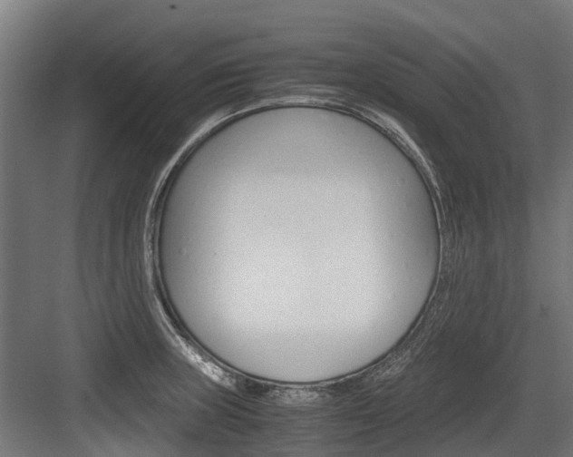 X0000083621235200702120741