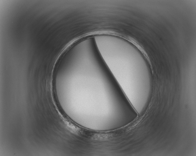 X0000083621237200702120741
