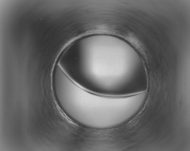 X0000083621238200702120741