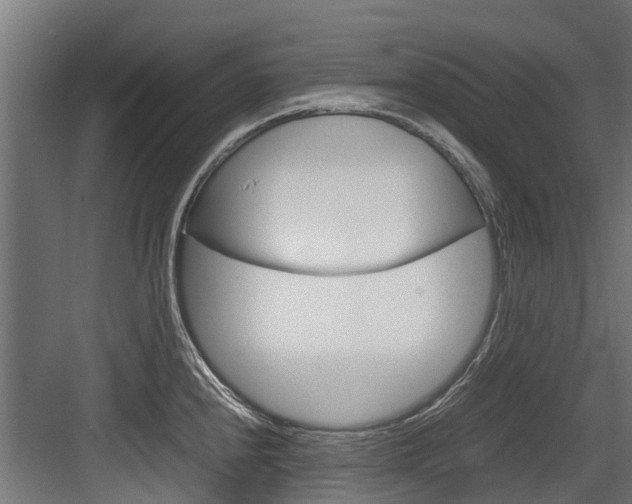 X0000083621240200702120741