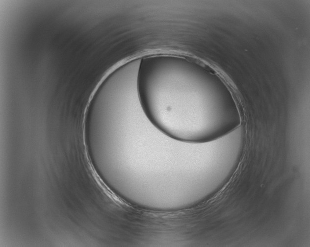 X0000083621246200702120741