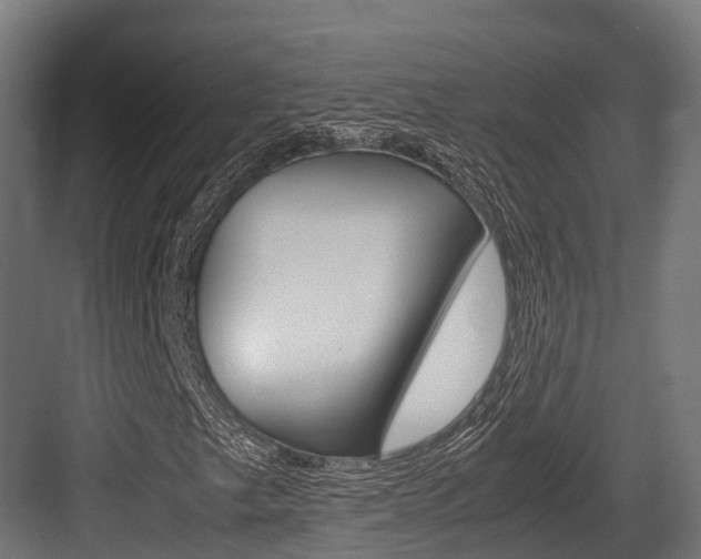 X0000083621249200702120740