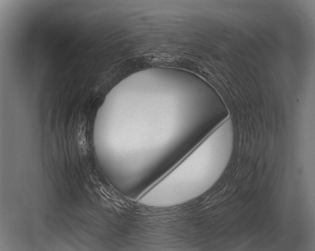 X0000083621250200702120740