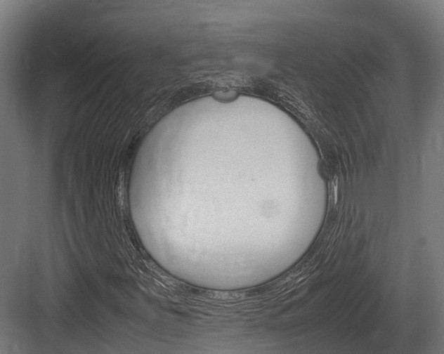 X0000083621251200702120740