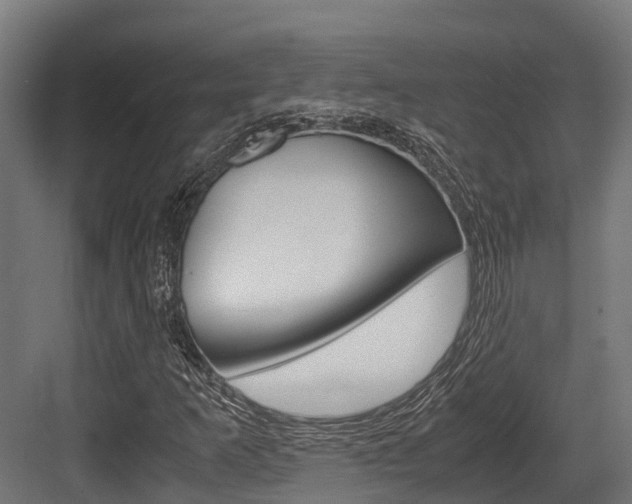 X0000083621253200702120740