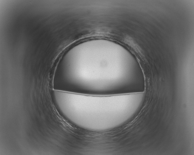 X0000083621260200702120740