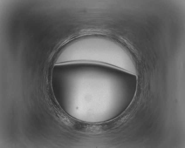 X0000083621261200702120740
