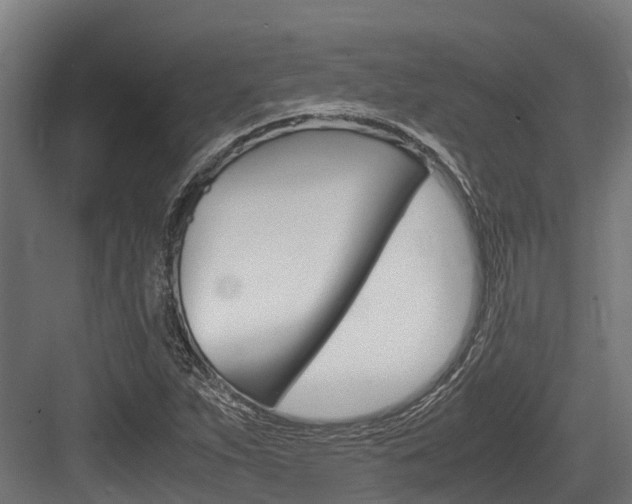 X0000083621263200702120740