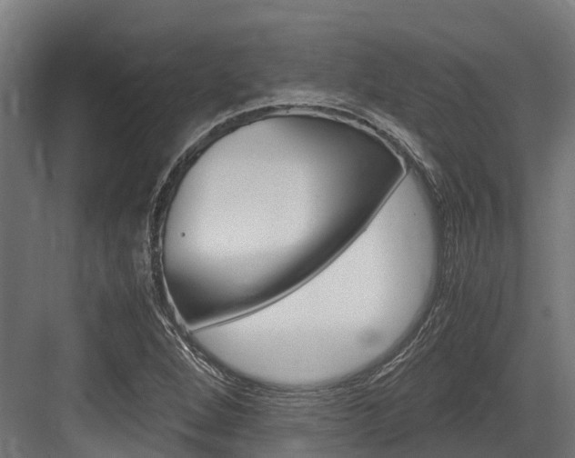 X0000083621264200702120740