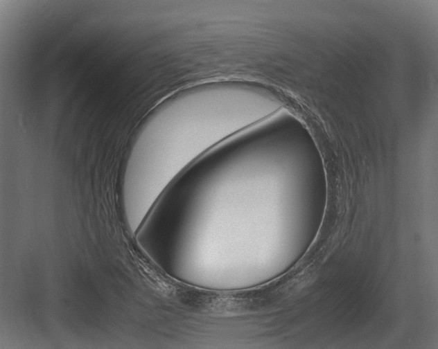 X0000083621265200702120740